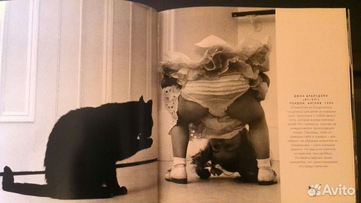 Большая книга кошек. Составитель Ж.К.Суаре