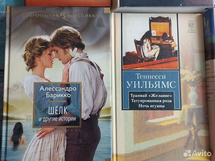 Книги Остин Цветаева Кундера Барбери Вишневский