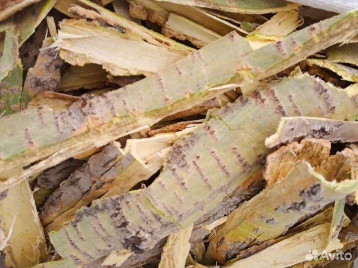 Кора осины Алтай свежий сбор 2024 г