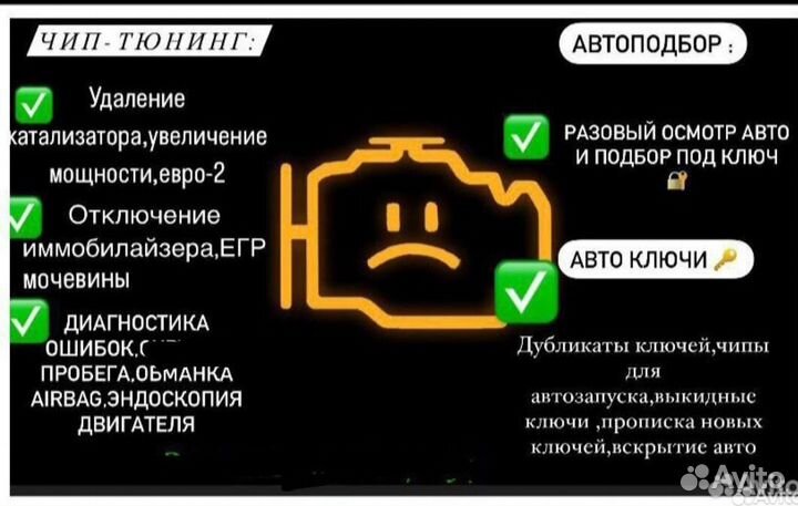 Чип тюнинг,удаление катализатора,евро2,EGR, immo