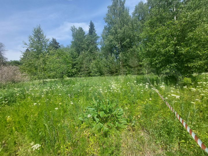 Участок 25 сот. (ИЖС)