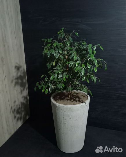 Вазоны, Горшки, Кашпо под заказ из бетона