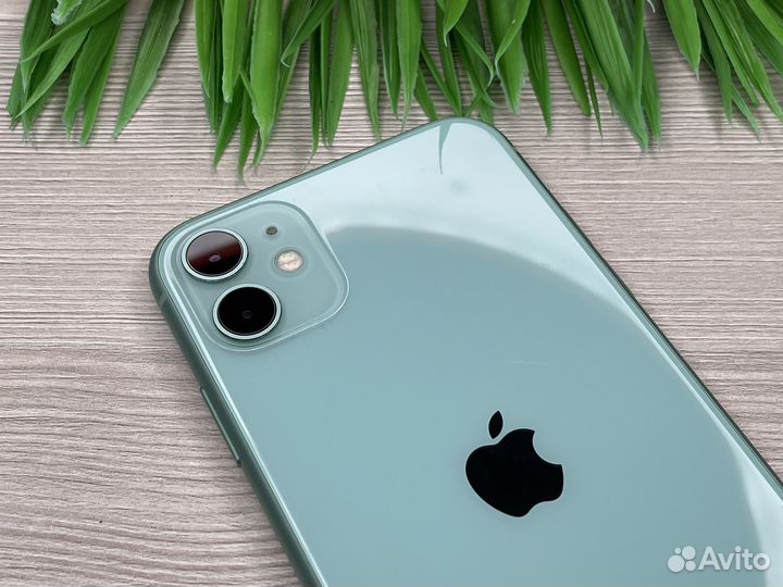 iPhone 11 128GB Green