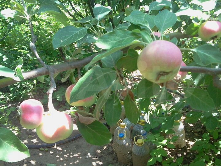 Дача 10 м² на участке 6 сот.