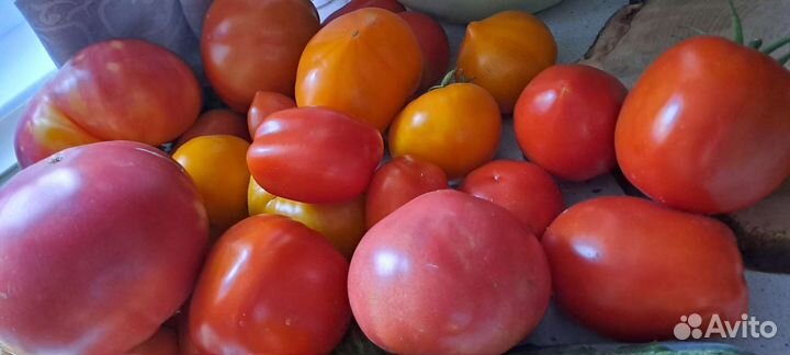 Помидоры свежие домашние