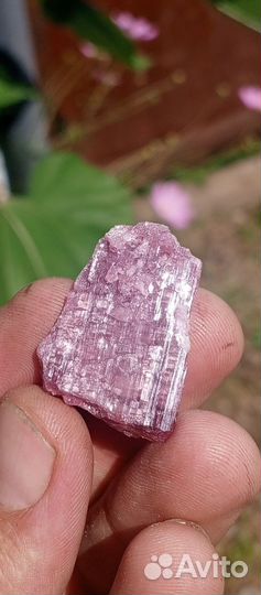 Турмалин розовый