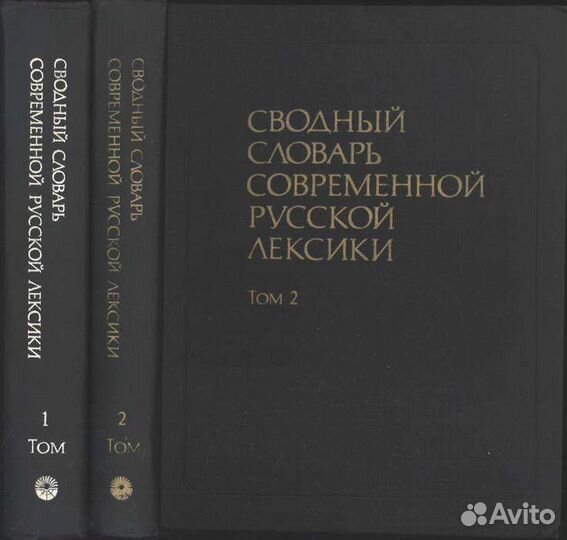 Сводный словарь современной русской лексики