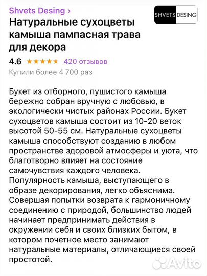 Сухоцвет. Пампасная трава