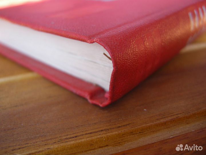 Музыкальная жизнь Москвы 1917-1920. Редка