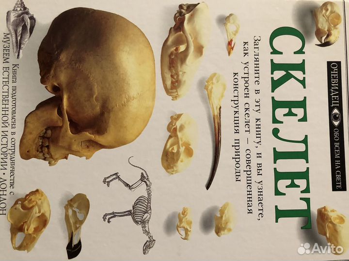 Коллекция книг Дорлинг 4 книги