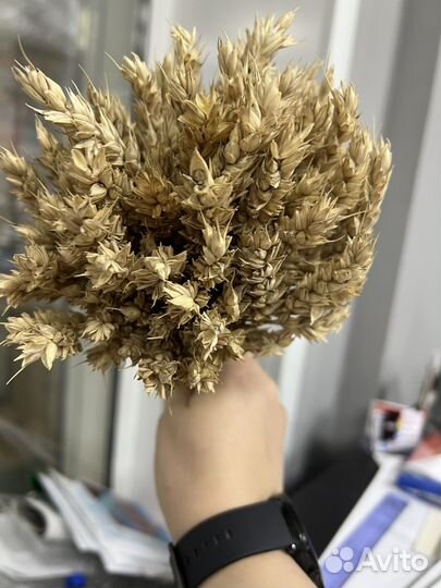 Букет из сухоцветов