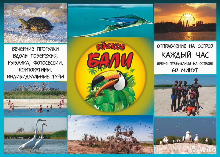 Морские прогулки
