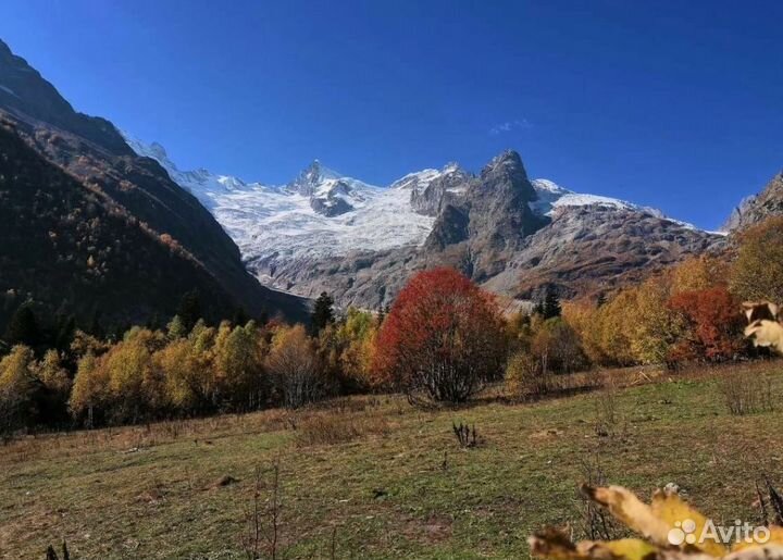 Тур поездка на Домбай 2 ночи 3-х раз питание