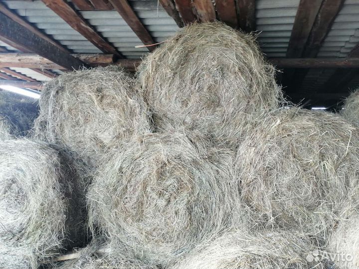 Сено в рулонах