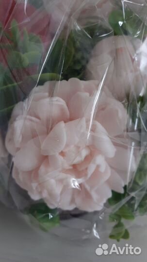 Цветы пионы в корзинке