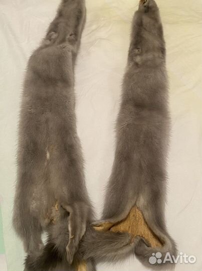 Шкурки норки