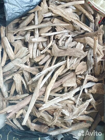 Коряжки продам