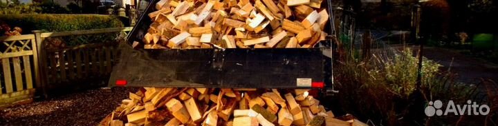 Дрова свежайшие