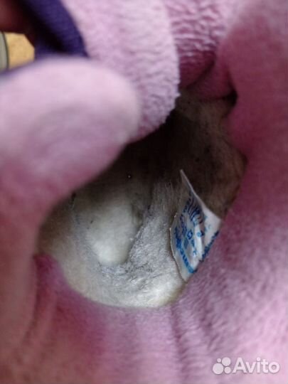 Ботинки зимние для девочки 30