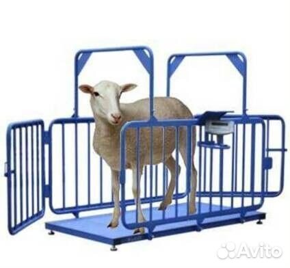 Весы для скота (Весы для животных мрс)