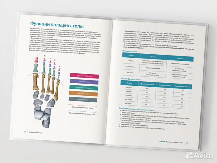 Книга по подоортопластии для спецов и не только