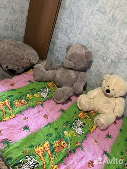 Мишка Тедди