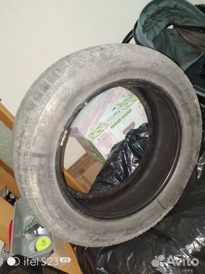 Pirelli Ice Zero 16/55 R5.5