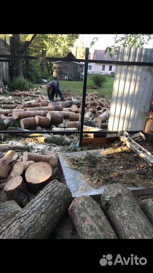 Спил деревьев.Расчистка участка.Арборист