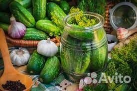 Сотрудник на консервацию. Проживание/питание