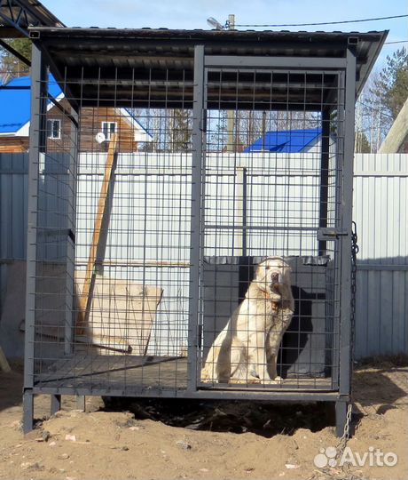 Вольер для собак