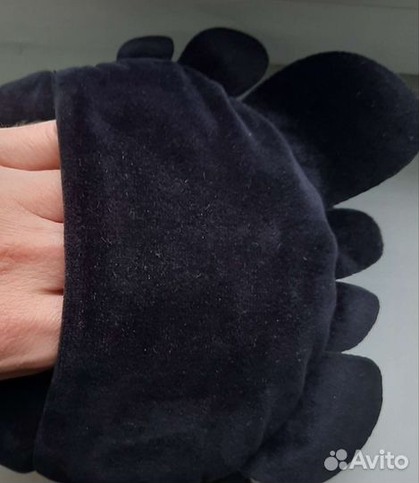 Дракон мягкий беззубик