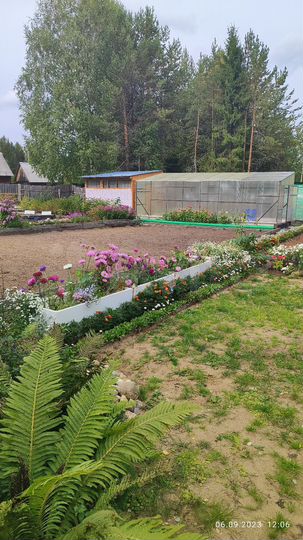 Дом 65 м² на участке 16 сот.