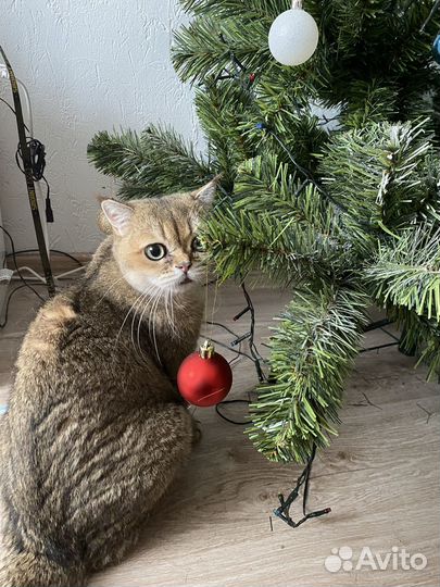 Елка новогодняя искуственная