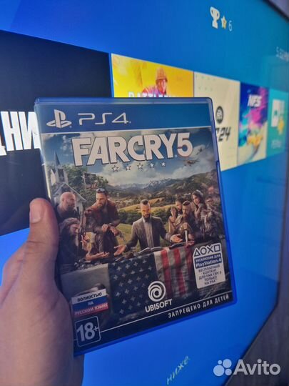 FarCry: 5 (PlayStation 4)