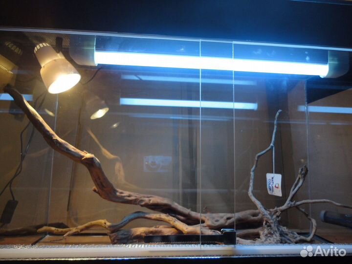 Террариумы готовые и под заказ