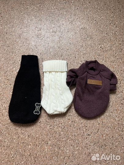 Одежда для собак