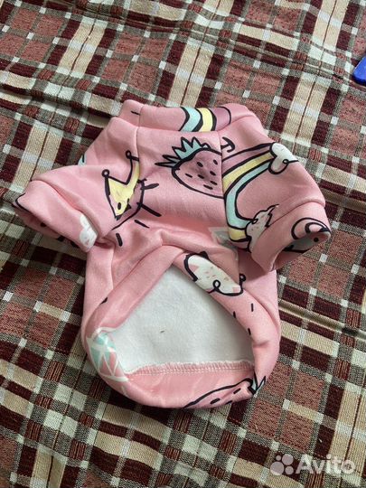 Вещи для маленьких собак