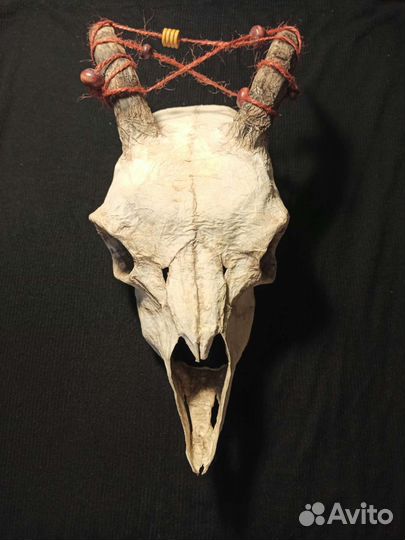 Череп из папье-маше