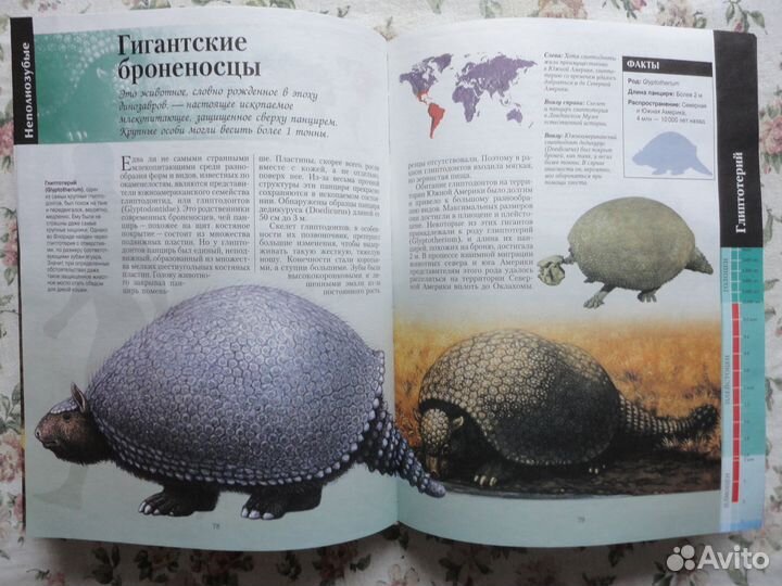 Книги про животных (слева уникальная)