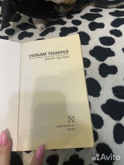 Книга ярмарка тщеславия