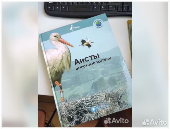 Красочная энциклопедия о животных для детей