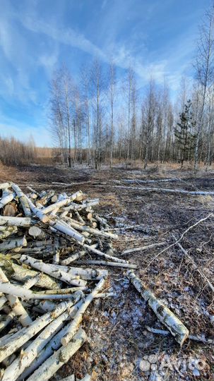 Опиливание Деревьев В Липецке
