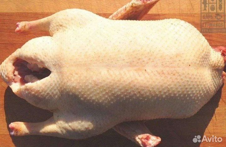 Мясо домашней птицы