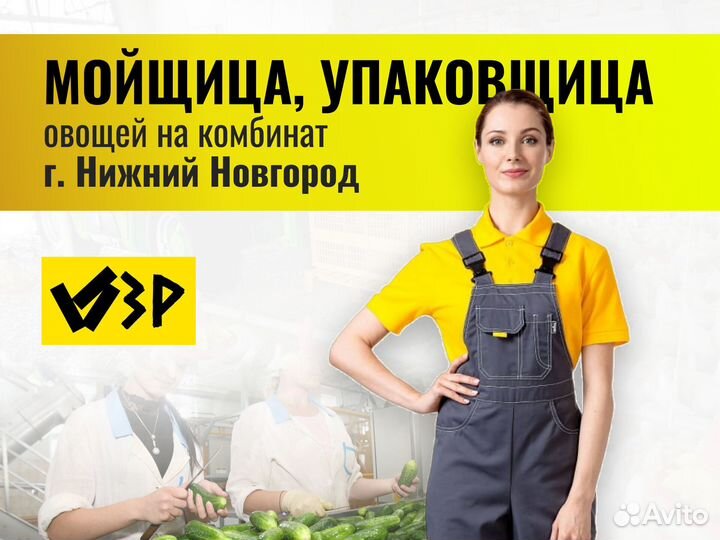Мойщица упаковщица овощей (г.Нижний Новгород)