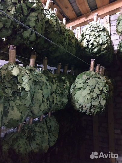 Веник дубовый