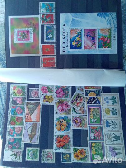 Марки цветы