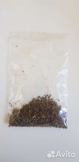 Живые раки. В наличии и предзаказ. Сотрудничество