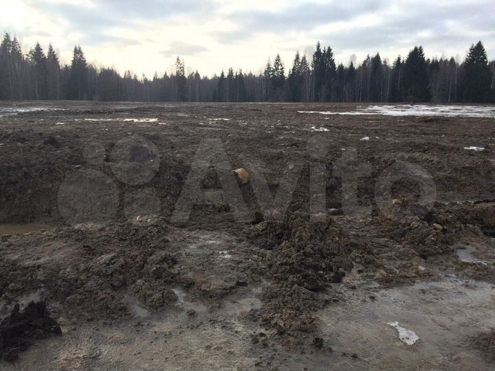 Участок 100 сот. (промназначения)