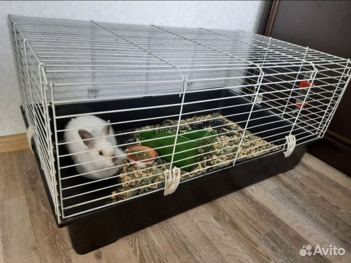 Клетка для грызунов, кроликов