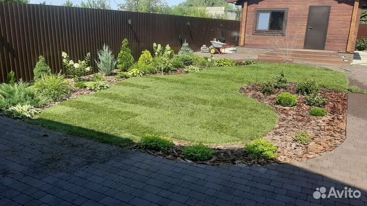 Рулонный газон Элитный